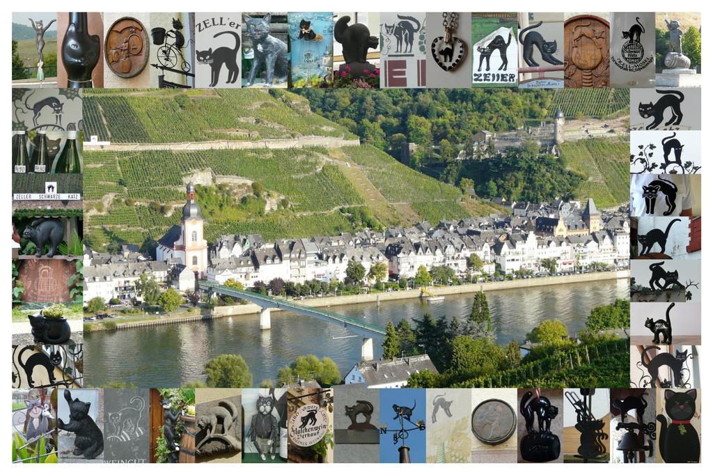 B&B Pension Winzerhaus Zell-Mosel Exterior foto