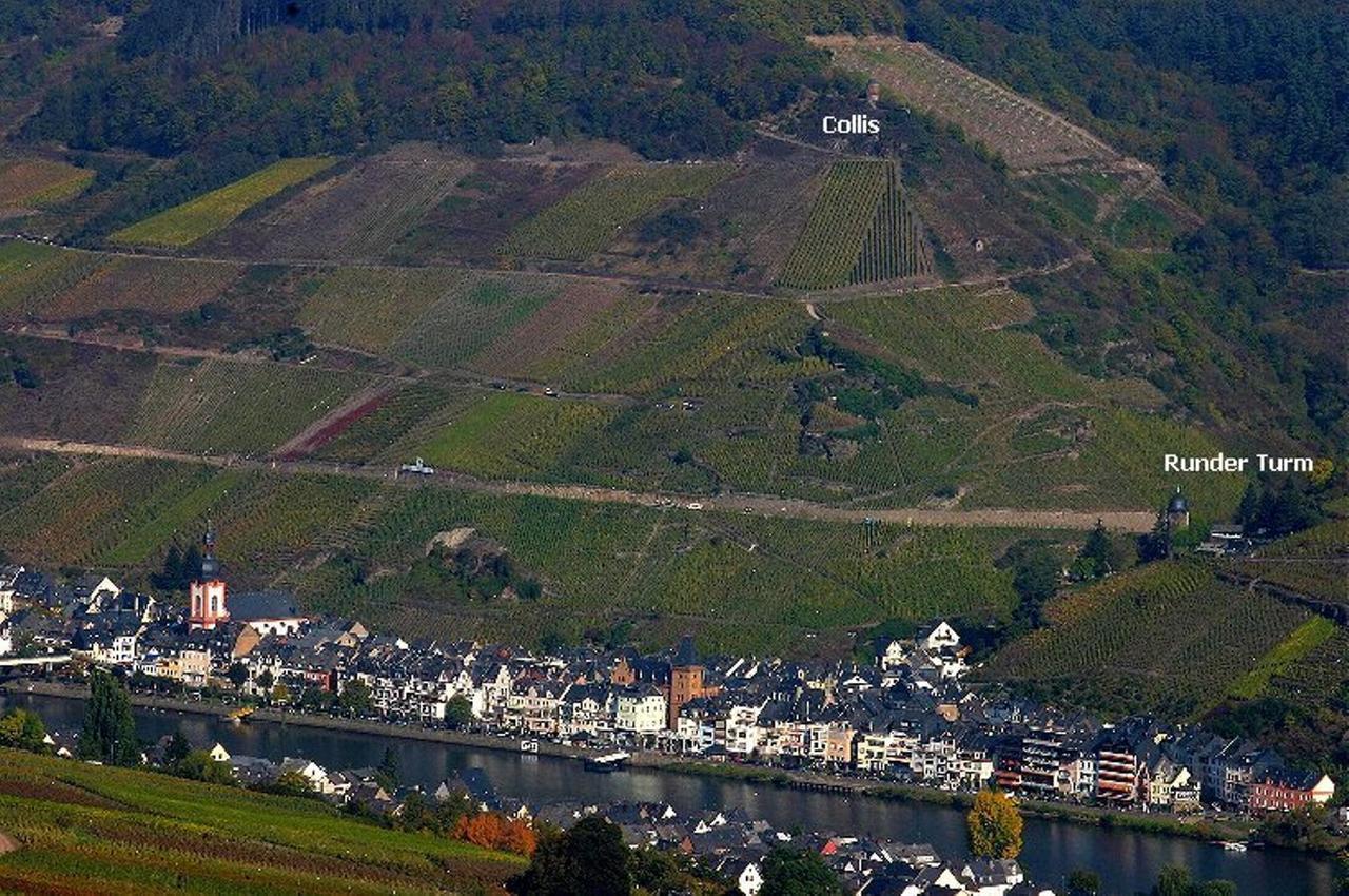 B&B Pension Winzerhaus Zell-Mosel Exterior foto